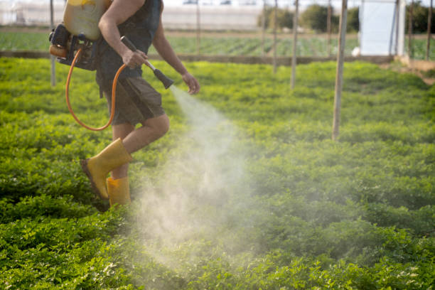 Pest Prevention Services in Wells Branch, TX