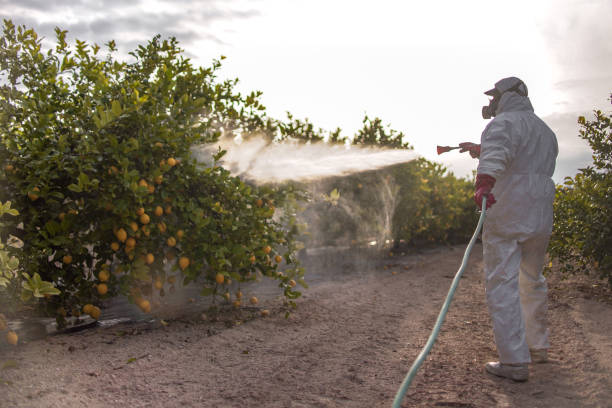 Reliable Wells Branch, TX Pest Control Solutions