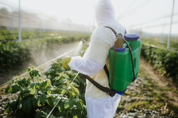 Pest Control for Restaurants in Wells Branch, TX